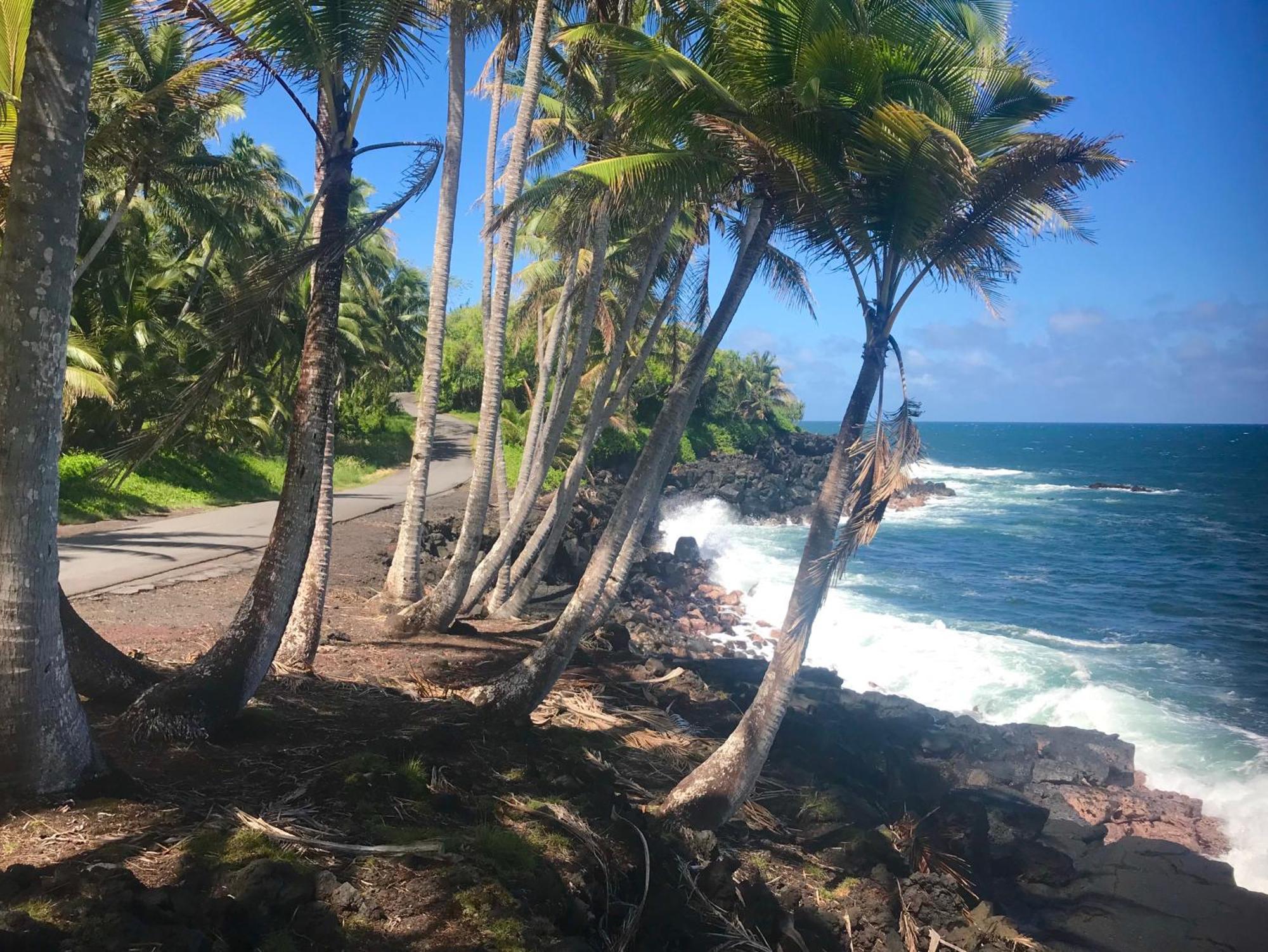 Tropical Zen Bungalow Pahoa Εξωτερικό φωτογραφία